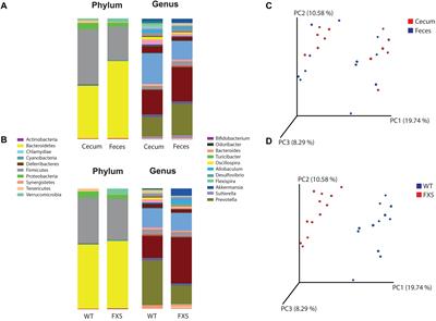 Altered Gut Microbiota in a Fragile X Syndrome Mouse Model